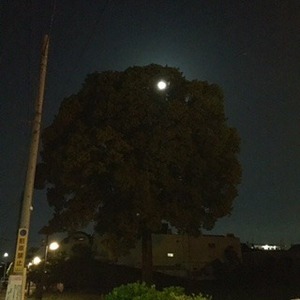 image2.JPG